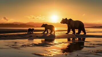 oso pardo oso familia busca salmón desayuno por el playa en Katmai nacional parque Alaska. silueta concepto foto