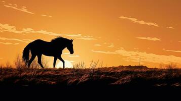 caballo silueta en medio de puesta de sol mientras pasto foto