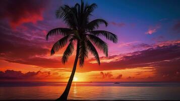 Palm tree against stunning sunset silhouette photo