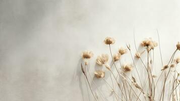 Flat lay of dried field flowers with shadow projected on a grey textured background isolated Minimal handmade eco nature concept for bloggers. silhouette concept photo