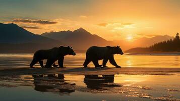 oso pardo oso familia busca salmón desayuno por el playa en Katmai nacional parque Alaska. silueta concepto foto