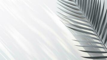 Abstract natural concept white wall with blurred palm leaf shadow Space for text overlay effect for design. silhouette concept photo
