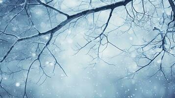 Snow covered tree branch. silhouette concept photo