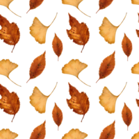 Autumn leaves seamless pattern.Perfect for wallpapers,invitation,gift paper,web page background,autumn greeting cards.Hand drawn illustration. png