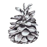 Pine cone.Beautiful decoration for the Christmas tree,symbol of the winter holidays.Can be used for cards, invitations to the holidays and New Year's events.Hand drawn. vector