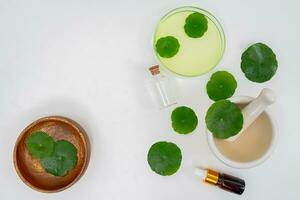 Top view glass beaker containing water and Centella asiatica decorated with erlenmeyer flask and round podium photo