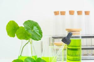 A glass beaker containing water and Centella asiatica decorated with erlenmeyer flask and round podium photo