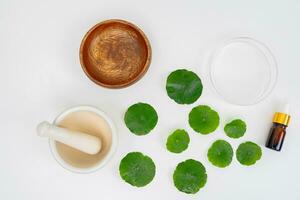 Top view glass beaker containing water and Centella asiatica decorated with erlenmeyer flask and round podium photo