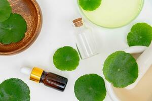 Top view glass beaker containing water and Centella asiatica decorated with erlenmeyer flask and round podium photo