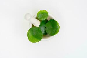 Top view glass beaker containing water and Centella asiatica decorated with erlenmeyer flask and round podium photo