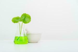 A glass beaker containing water and Centella asiatica decorated with erlenmeyer flask and round podium photo