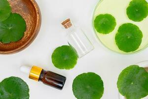 Top view glass beaker containing water and Centella asiatica decorated with erlenmeyer flask and round podium photo