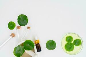 Top view glass beaker containing water and Centella asiatica decorated with erlenmeyer flask and round podium photo