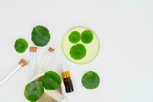 Top view glass beaker containing water and Centella asiatica decorated with erlenmeyer flask and round podium photo