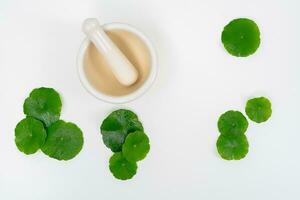 Top view glass beaker containing water and Centella asiatica decorated with erlenmeyer flask and round podium photo