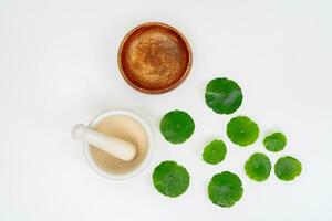 Top view glass beaker containing water and Centella asiatica decorated with erlenmeyer flask and round podium photo