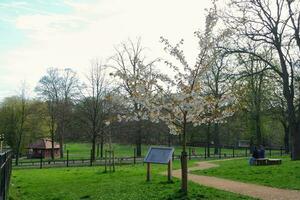 hermosa bajo ángulo ver de Wardown museo público parque de lutón ciudad, Inglaterra Reino Unido. capturado en abril 16, 2023 foto