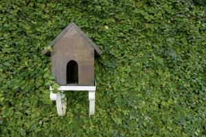 A portrait of a bird nest or bird house isolated by wall of vines photo
