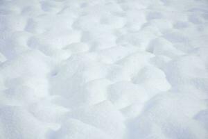 Background of fresh snow texture. photo