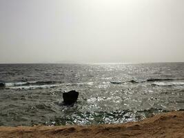 Red sea lit by summer sun of Egypt photo