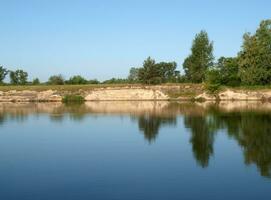 Trees reflection in the river photo