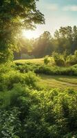 green grass rice field in the morning ai generated photo