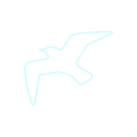 une oiseau en volant illustration png