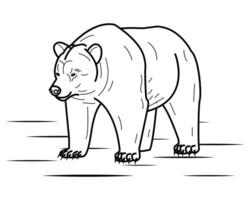 Bear vector illustration template for Coloring book. Drawing lesson for children