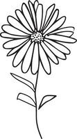 small minimalist aster flower tattoo, September birth flower tattoo, aster wall art, aster flower vector art, aster flower line drawing