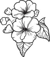 Birth flower primula doodle. primrose bouquet, of flower design for card or print. hand-painted Oenothera tetraptera flowers illustration isolated on white backgrounds, simple flower colorign page vector