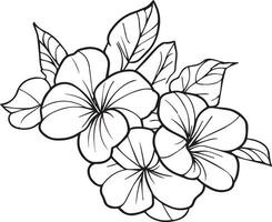 Cute flower coloring pages, primrose drawing, evening primrose wildflower drawings, Hand drawn botanical spring elements bouquet of primrose line art coloring page, easy flower drawing. vector