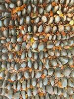 therapeutic stones background for feet photo