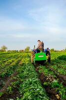 Kherson oblast, Ukraine - May 16, 2021 Farmer digs out of potatoes on a farm field. Harvest first potatoes in early spring. Agro industry and agribusiness. Harvesting mechanization photo