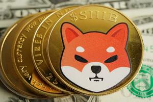 Dogecoin with Wow for online business and commercial, Digital currency, Virtual cryptocurrency. photo