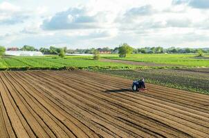 kherson oblast, Ucrania - mayo 28, 2020 un granjero cultiva el suelo en el sitio de un ya cosechado papa. molienda suelo antes de corte filas aflojando superficie, tierra cultivo. agricultura. foto