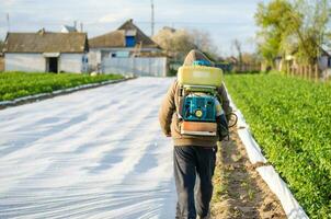 kherson oblast, Ucrania - mayo 4, 2021 granjero aerosoles un patata plantación con un pulverizador. niebla pulverizador, fungicida y pesticida. cosecha proteccion de cultivado plantas en contra insectos y hongos foto