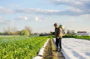 Kherson oblast, Ukraine - May 4, 2021 Farmer sprays a potato plantation against pests and fungi. Protection of cultivated plants from insects and fungal infections. Control of use of chemicals. photo