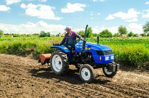 kherson oblast, Ucrania - mayo 28, 2020 un granjero con un cultivo unidad en un tractor paseos a cultivar un campo. agronegocios y agroindustria. aflojando superficie, tierra cultivo. arada campo. foto