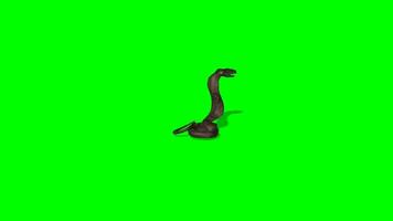 Snake crawling towards right side green screen animation. Snake attack green screen animation. snake chroma key video