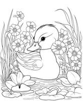 duck coloring pages for adults vector