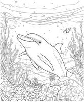 Dolphin coloring pages for kids vector