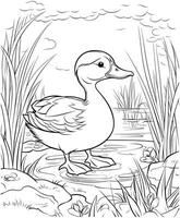 Duck Jungle coloring pages vector