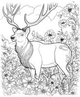 Elk coloring pages for adults vector