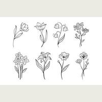 line flowers set graphic resource vector