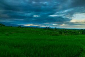 Beautiful morning view indonesia Panorama Landscape paddy fields with beauty color and sky natural light photo