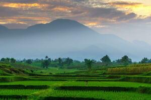 hermosa vista de la mañana indonesia panorama paisaje arrozales con color de belleza y luz natural del cielo foto