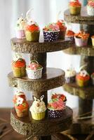 a wooden display with cupcakes on it photo