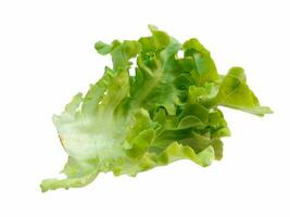 Salad leaf. Lettuce on white background photo