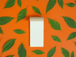 Directly above view of blank notebook with green leaf on orange background. photo