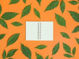 Directly above view of blank notebook with green leaf on orange background. photo